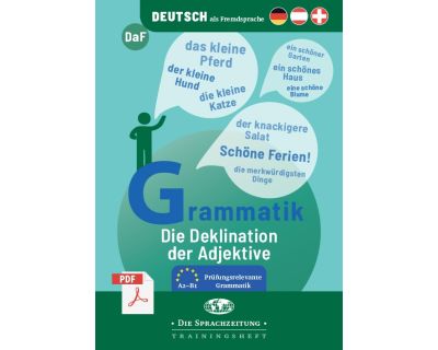 Grammatik - Die Deklination der Adjektive PDF